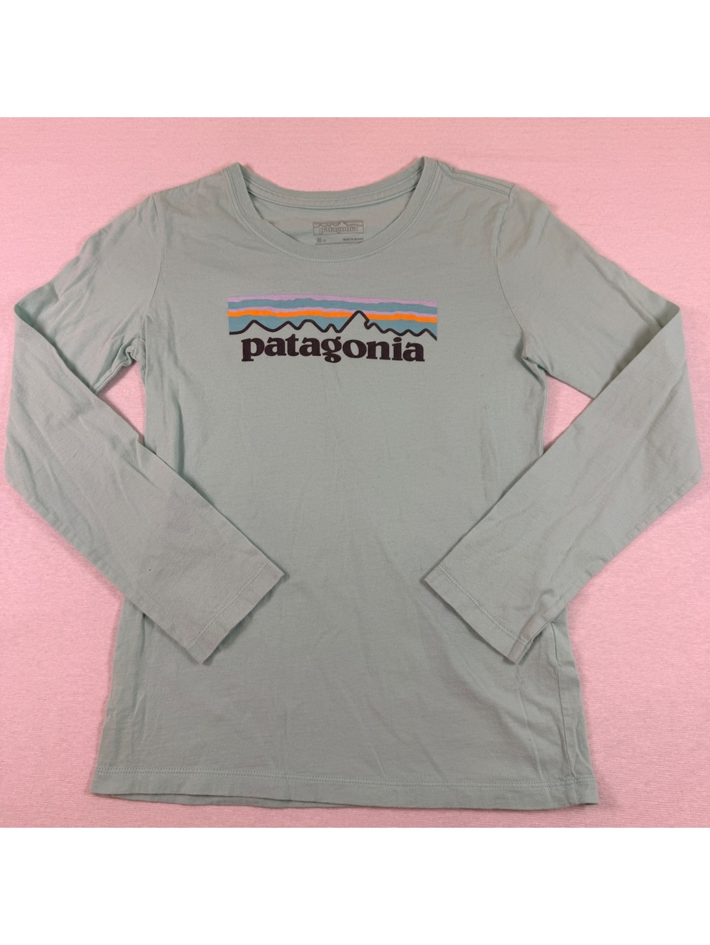 Patagonia P-6 Logo Long Sleeve Tee Mint Green Womens S